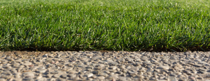 Fall Sod Establishment Greenhorizons Grass Turf Green Lawn Install