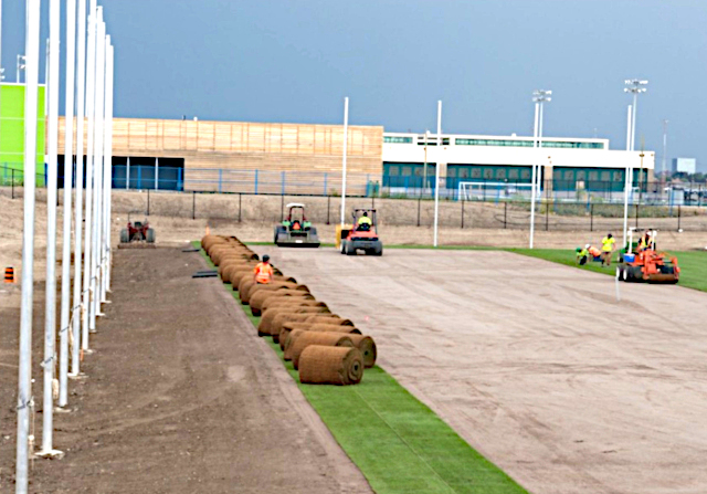 Engineered Sand Profile Grass Turf Green Install