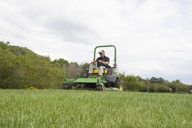 Sod Grass Turf Green Install