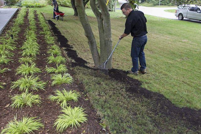 Winter Sod Grass Turf Green Install