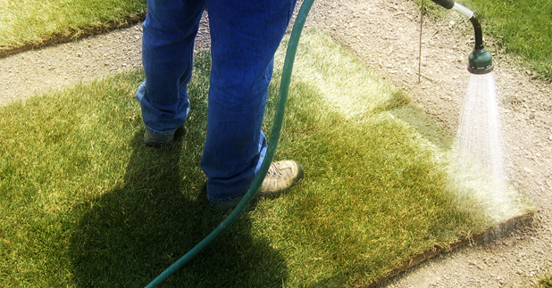 3D Sod Blend Grass Turf Green Install