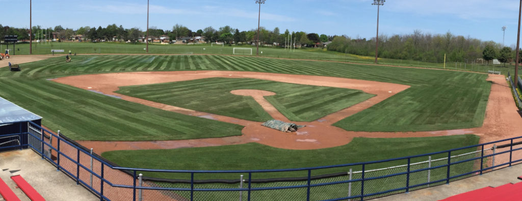 Bernie Arbour Memorial Stadium Project - Greenhorizons News