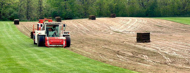 Harvest Grass Turf Green Install