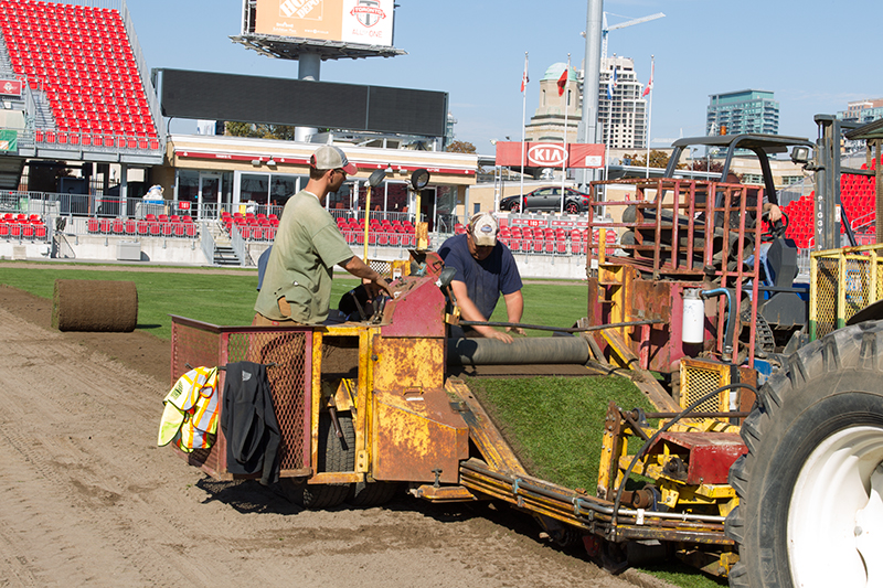 BMO Field Revitalization  Sod Grass Turf Green Install