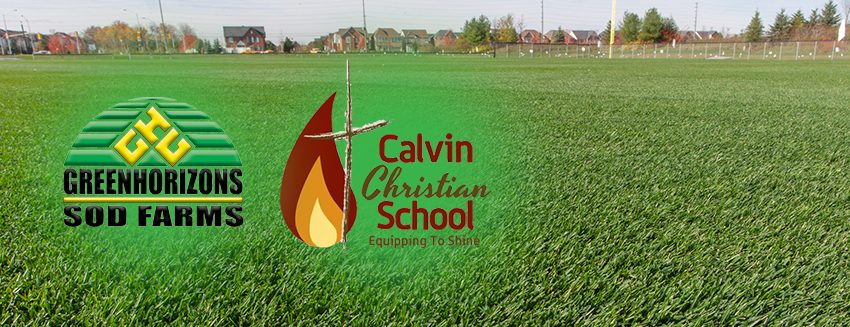 Calvin Christian Donations Grass Turf Green Install