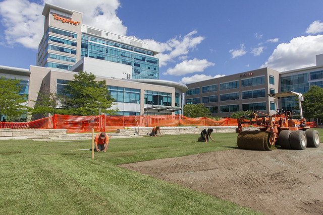 FIFA Sod Grass Turf Green Install