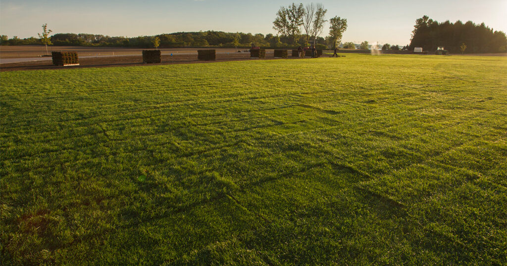 Sod provides immediate support to your project
