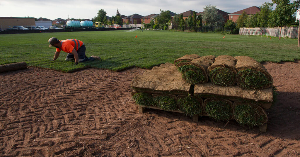The Superior Ground Cover Solution: Natural Turfgrass Sod