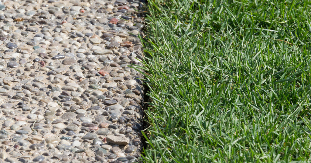 Sod is a superior ground cover solution