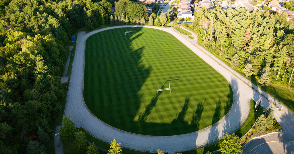 High Quality Sports Turf