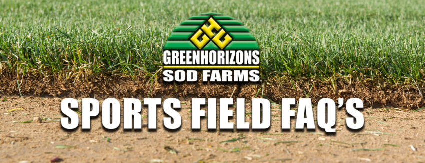 Sports Field FAQ's