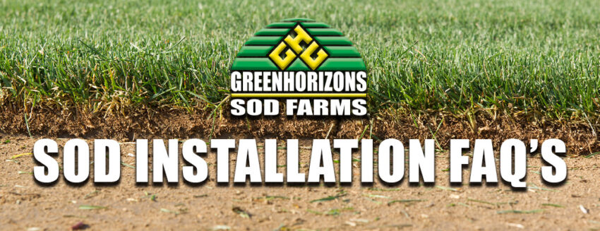 Sod Installation FAQ's