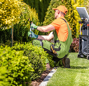 local landscaper