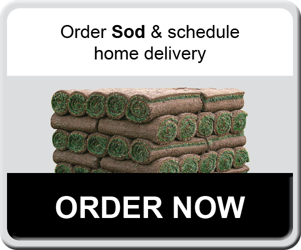 Order from OrderSodNow.com