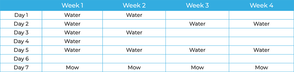 watering schedule
