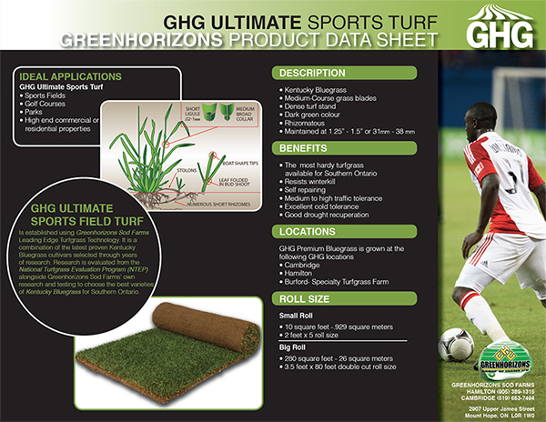ghg ultimate sports turf 2
